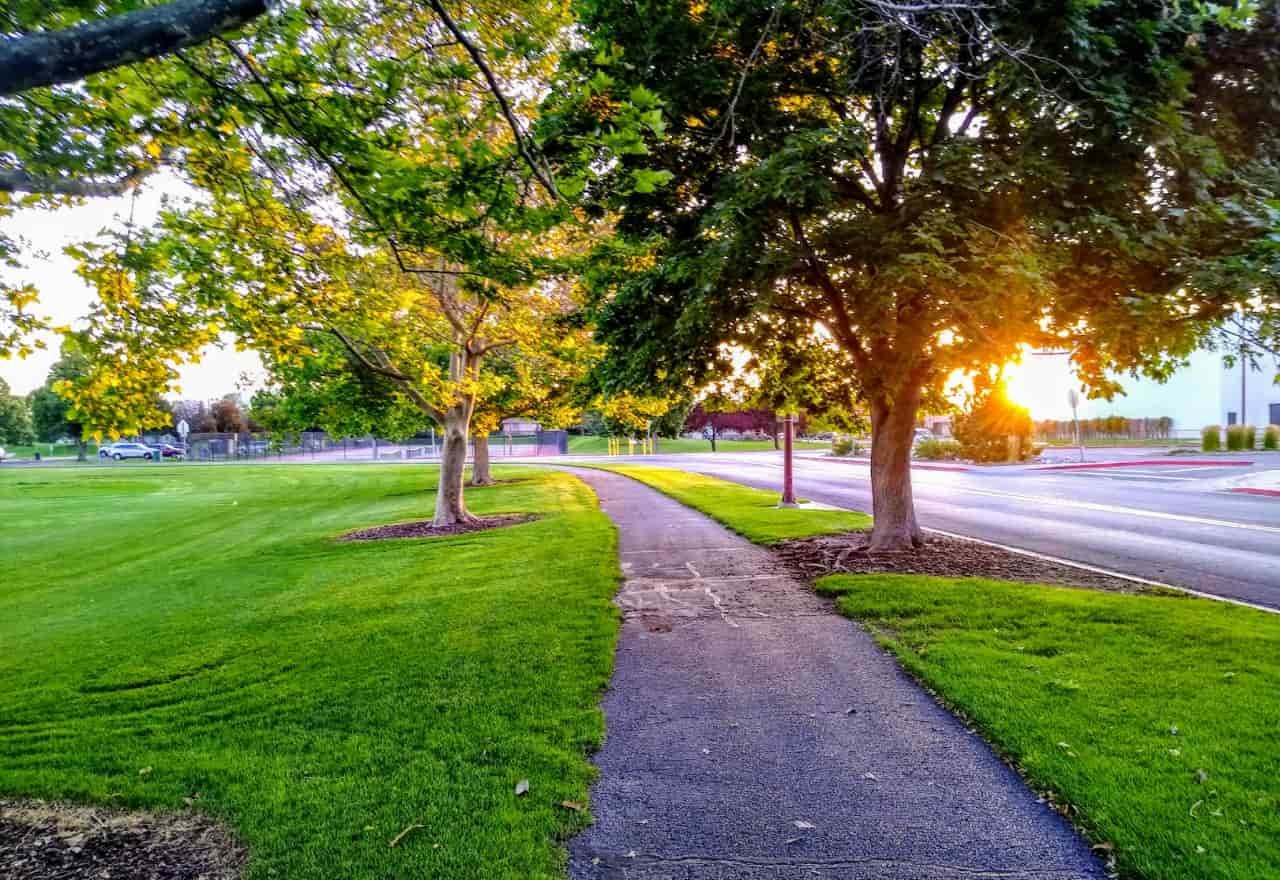 Picture of Community of Orem Park by Cowboys Landscaping