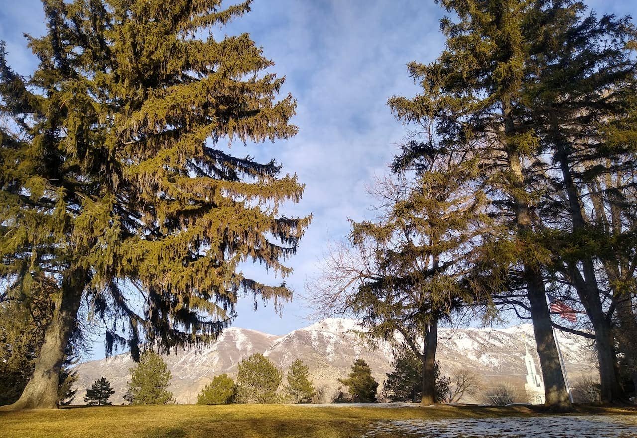 Thumbnail American Fork By Cowboys Landscaping