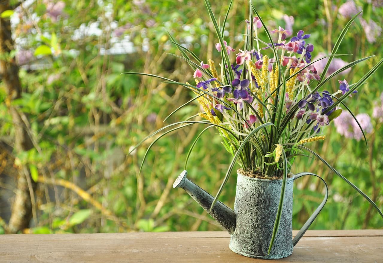 Thumbnail-For- Cowboys Landscaping How to Create a Sustainable Landscape -By-Cowboys Landscaping